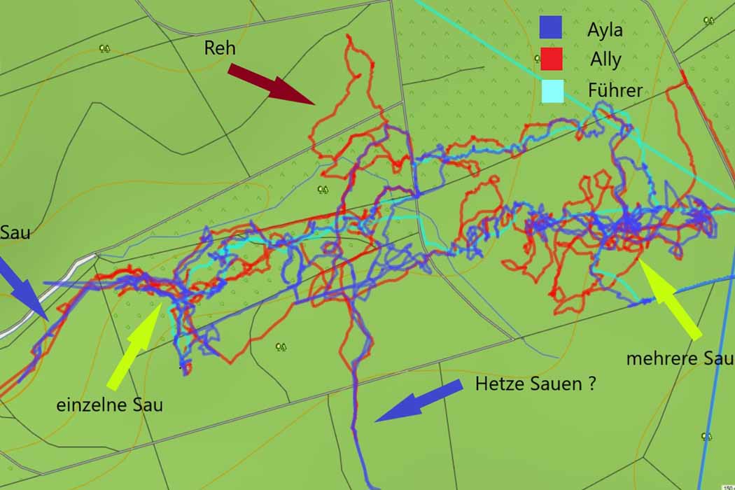 Route